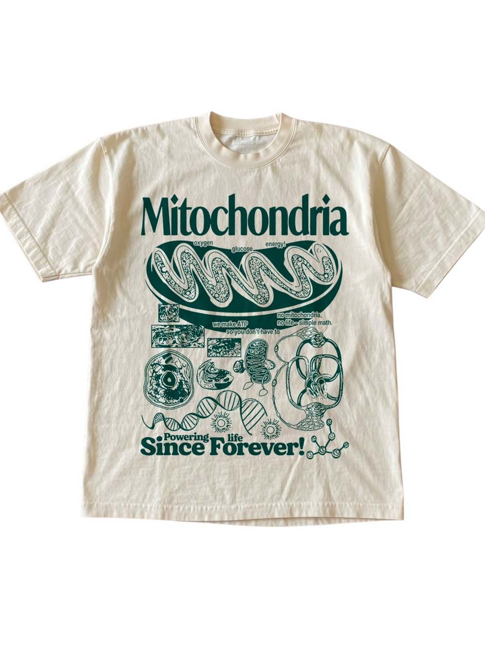 Mitochondria Science Biology STEM Light Academia Cream Tee